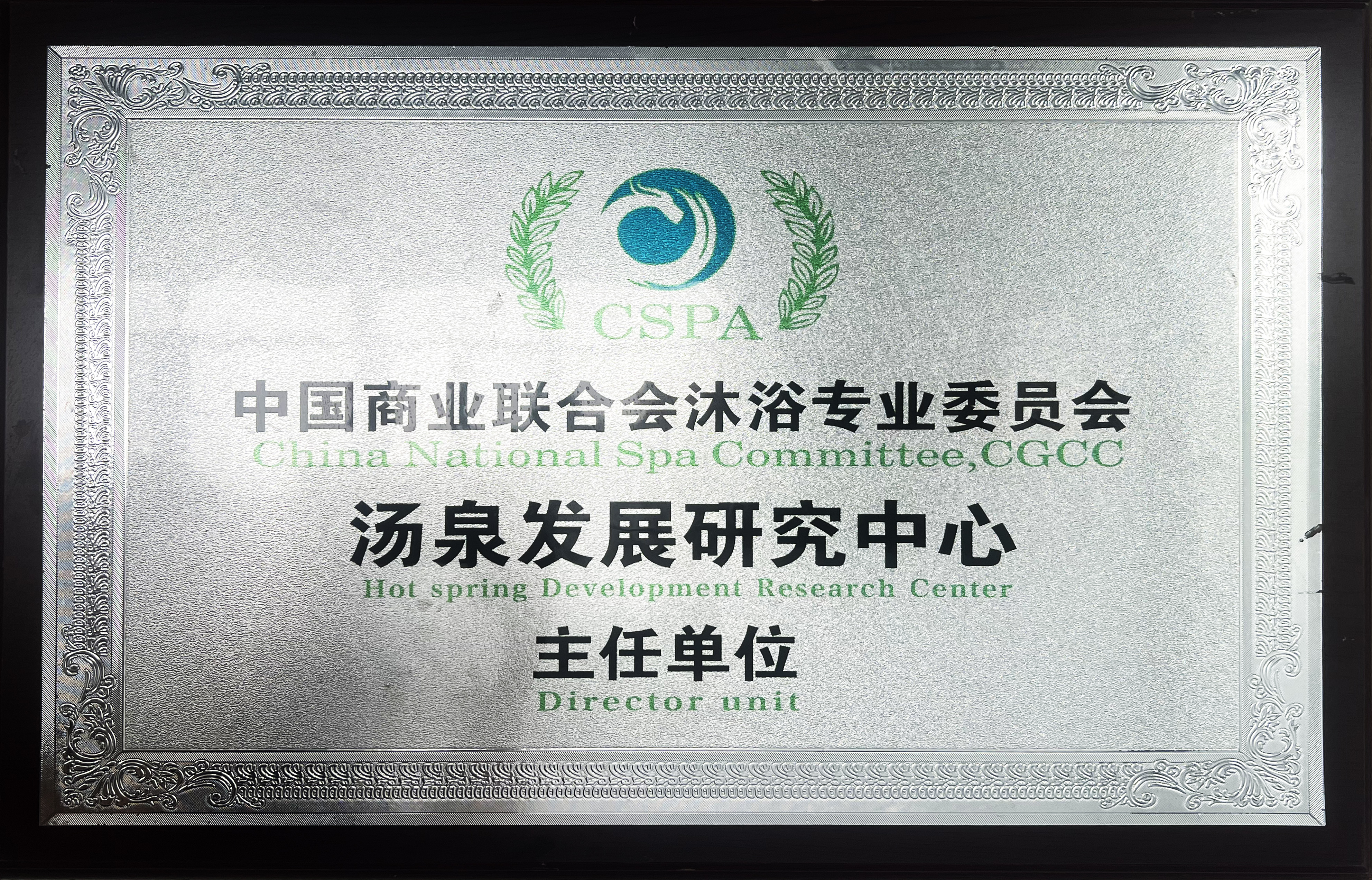 汤泉发展研究中心主任单位
